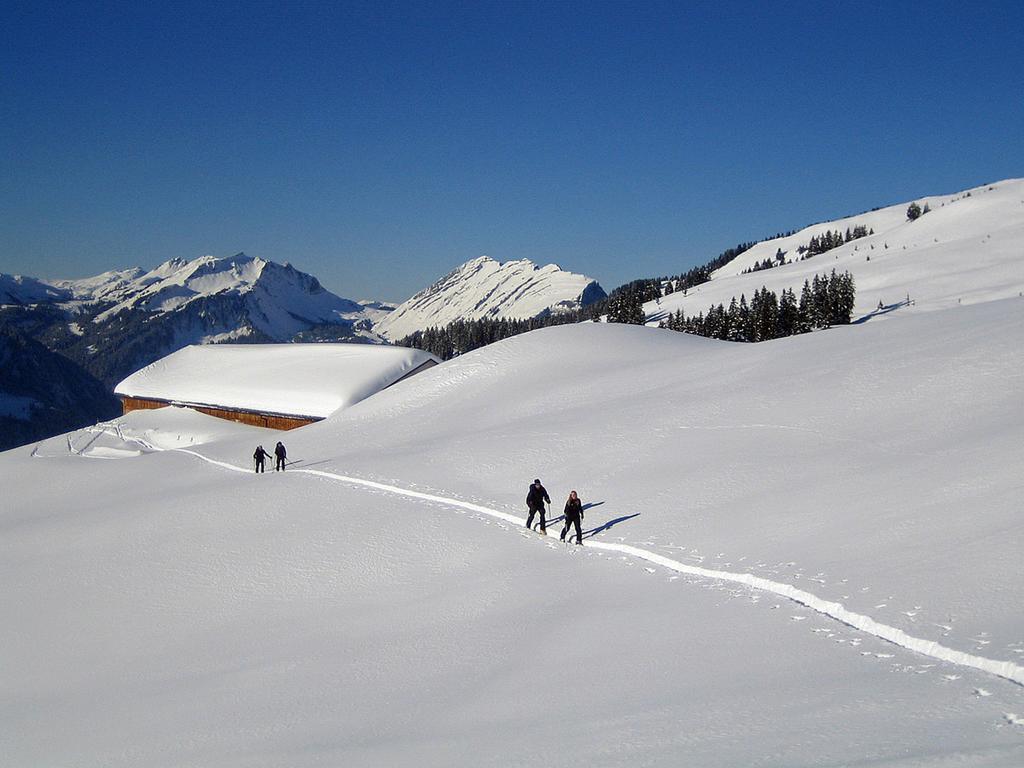 Caroline'S Appartement Au (Vorarlberg) Esterno foto